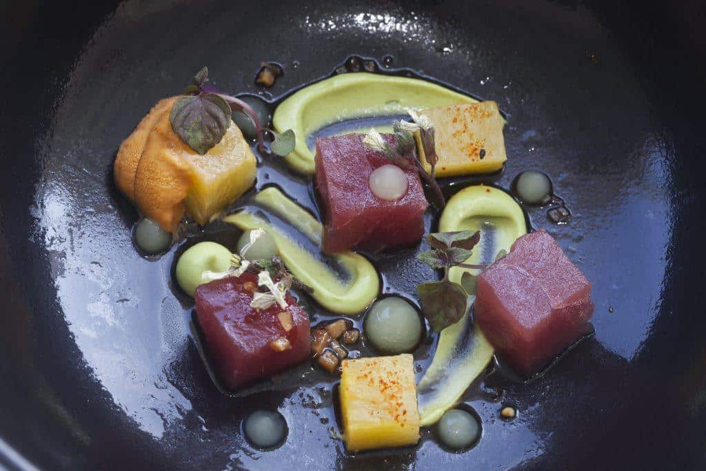 Colorful tuna dish with artistic plating photographed for a Nantucket restaurant.